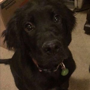 Meet your Posher, Molly